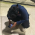 Avatar for sahiljagtap from gravatar.com