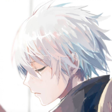 Avatar for zerlaer from gravatar.com