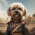 Avatar for joe-rlo from gravatar.com
