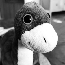 Avatar for Paul Gierz from gravatar.com