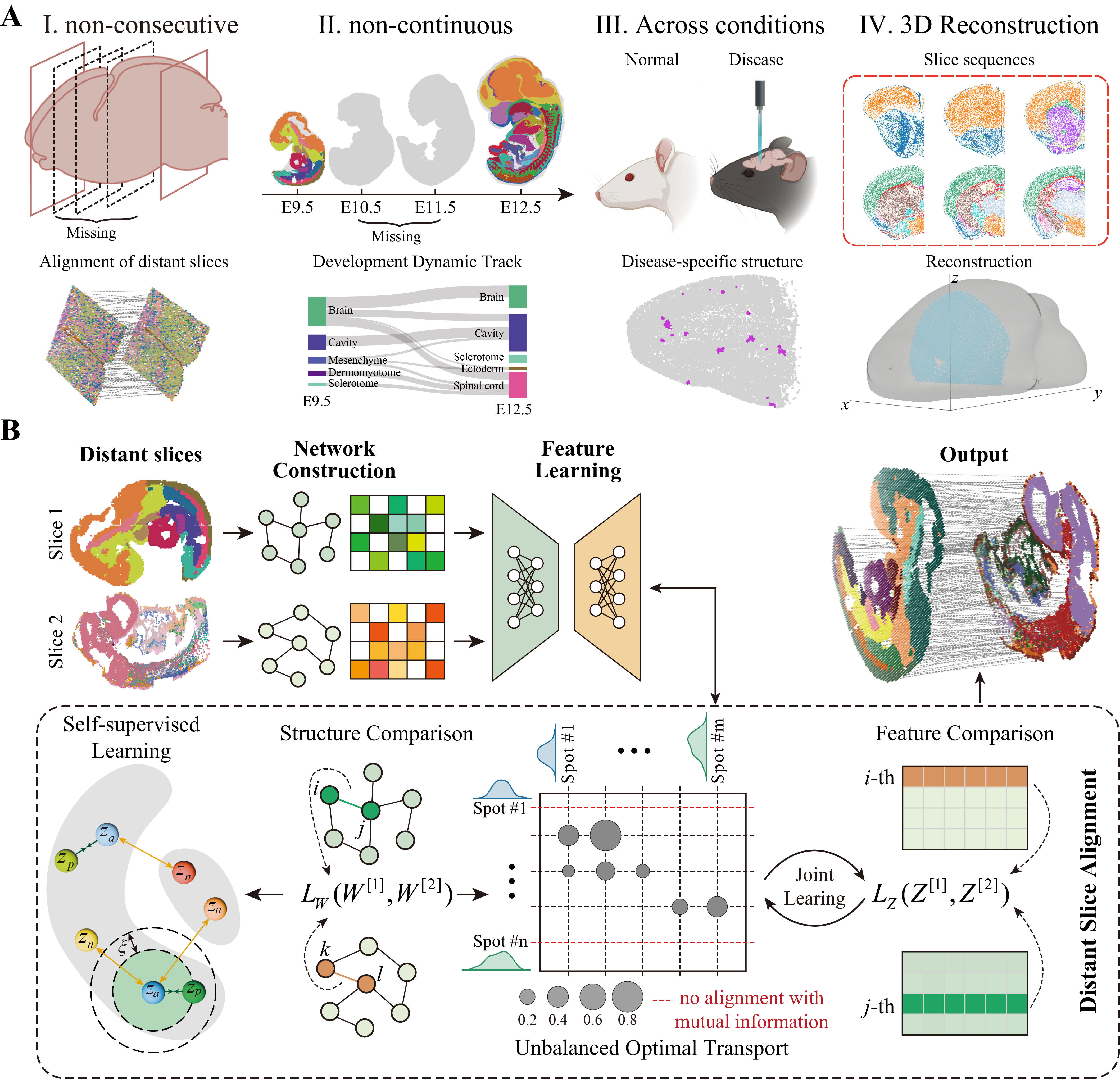 AlignDG workflow