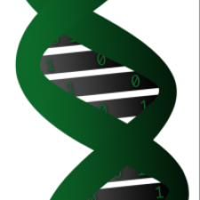 Avatar for Thomas Muguet from gravatar.com