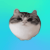 Avatar for MatveyKostis from gravatar.com