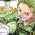 Avatar for neroRL from gravatar.com