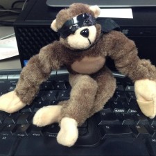 Avatar for Fernando Trinciante from gravatar.com