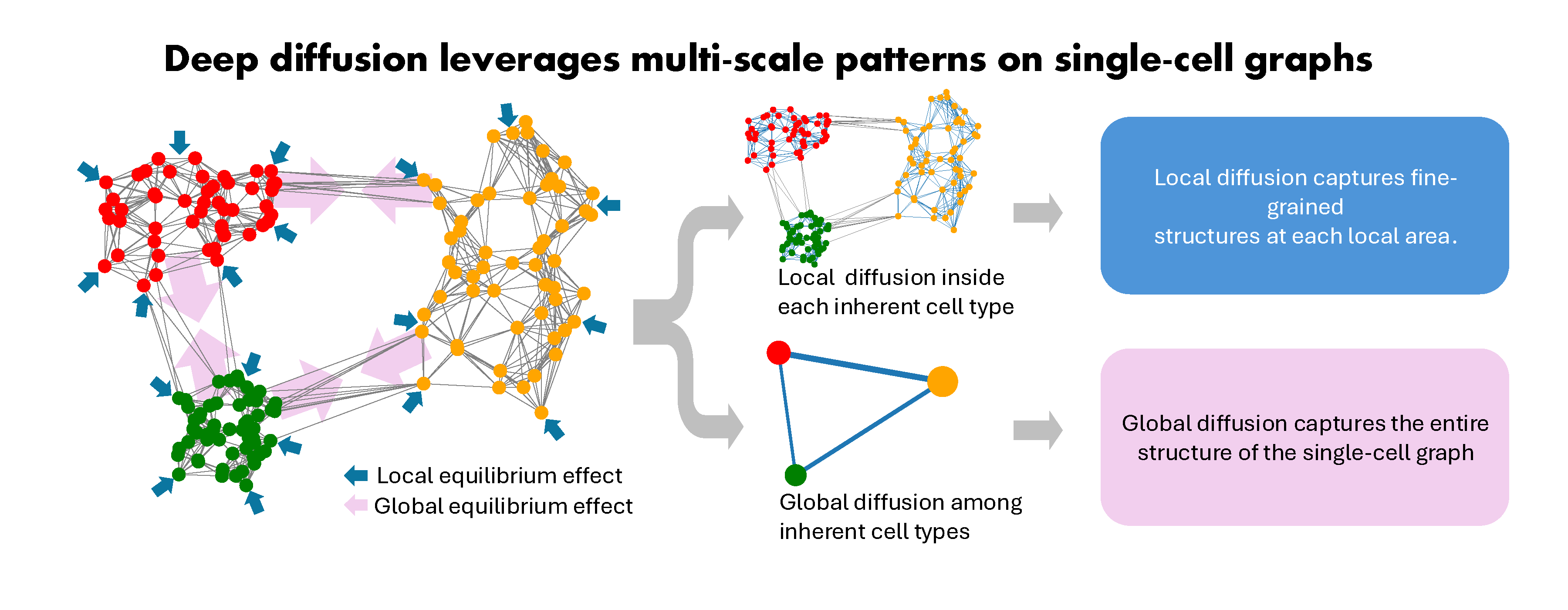 scDiffusion