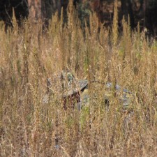 Avatar for Jonathan Morgan from gravatar.com