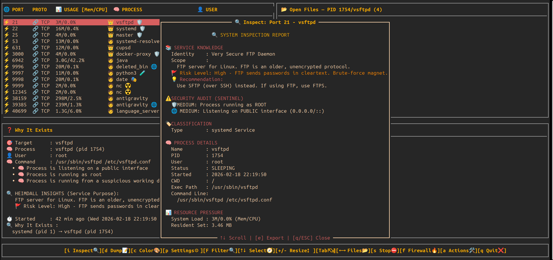 heimdall sentinel detailed audit