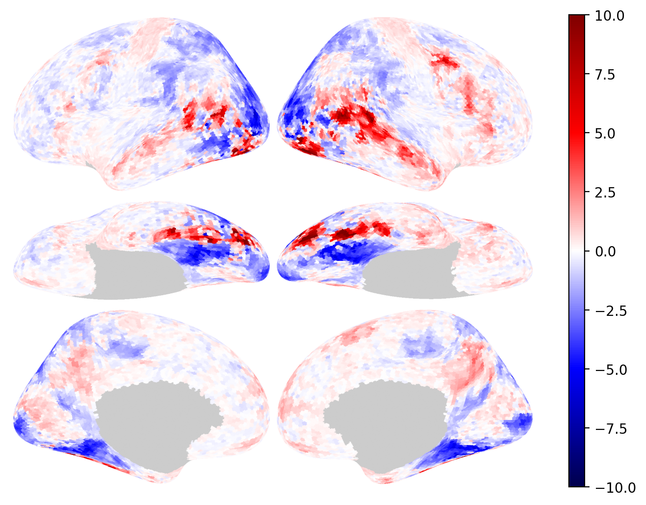 brainplotlib · PyPI