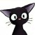 Avatar for paralevi from gravatar.com