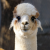 Avatar for harshil6-lab from gravatar.com