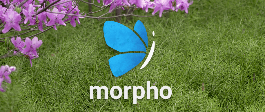 Morpho Logo