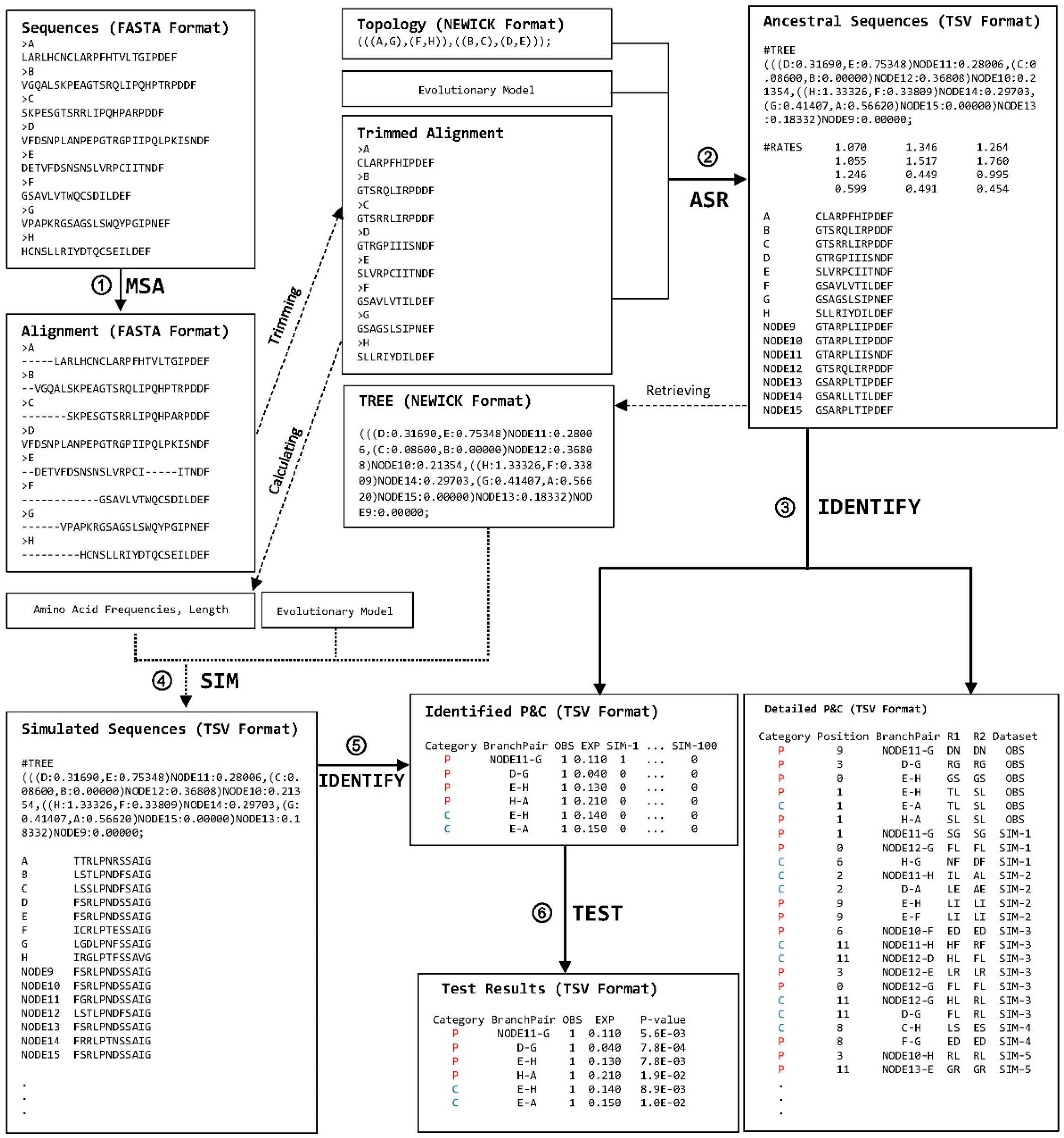 Overview of the ProtParCon analytical scheme