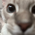Avatar for zachtong from gravatar.com