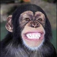 Avatar for Geoff Munn from gravatar.com