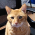 Avatar for jwestman from gravatar.com