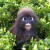 Avatar for krgr from gravatar.com