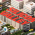 Avatar for nirmankarta from gravatar.com