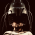 Avatar for ziadsawalha from gravatar.com