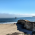 Avatar for chmreid-ucsc from gravatar.com