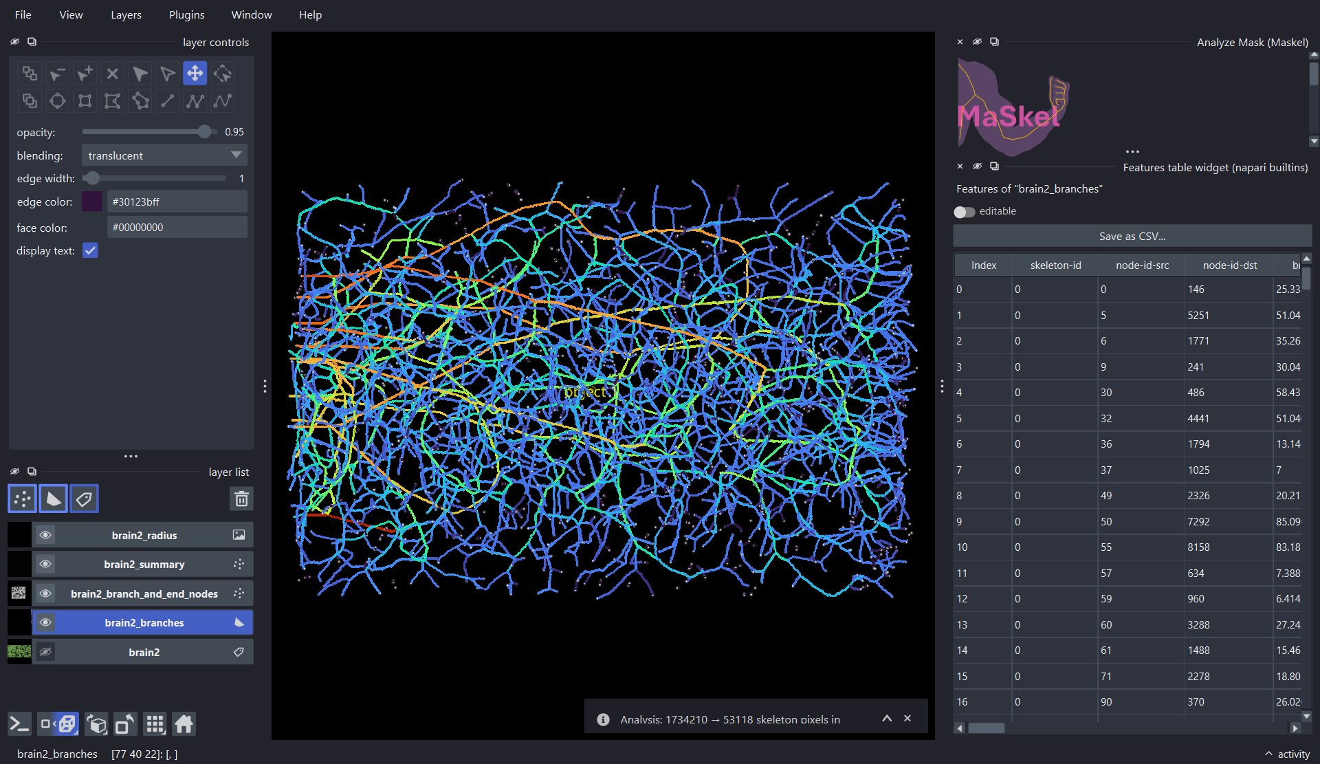 3D binary mask analyzed in napari-maskel