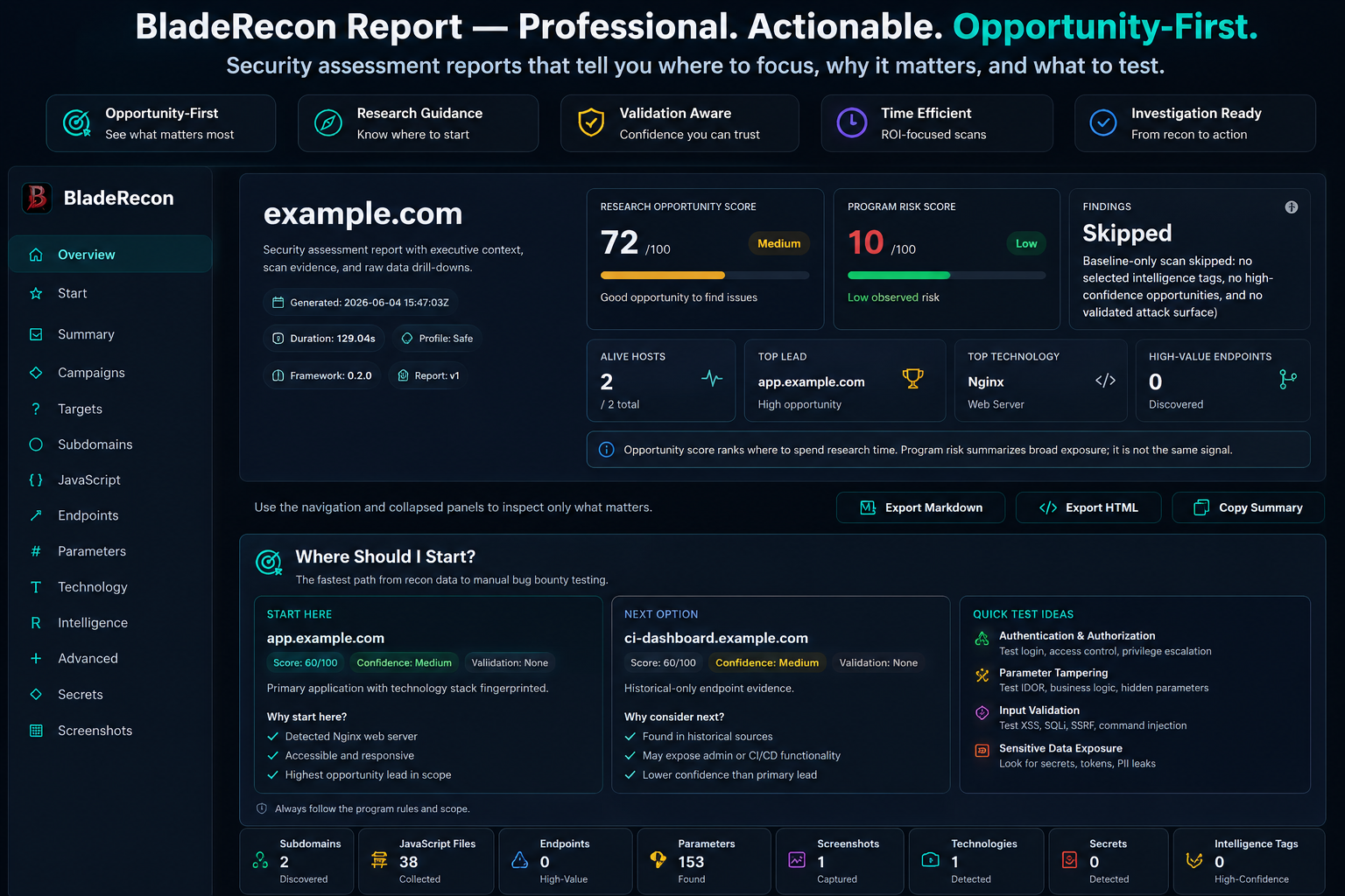 BladeRecon report preview