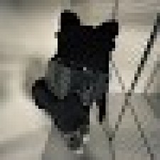 Avatar for korneel from gravatar.com