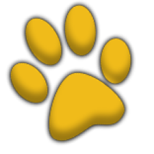 Avatar for Tim Poulsen from gravatar.com