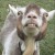 Avatar for twhipple_pp from gravatar.com