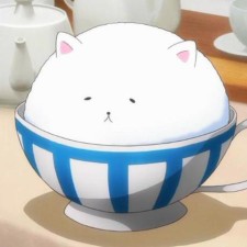 Avatar for coilo from gravatar.com