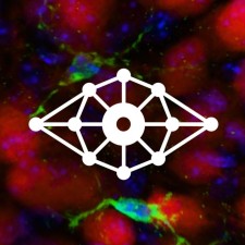 Avatar for syGlass from gravatar.com
