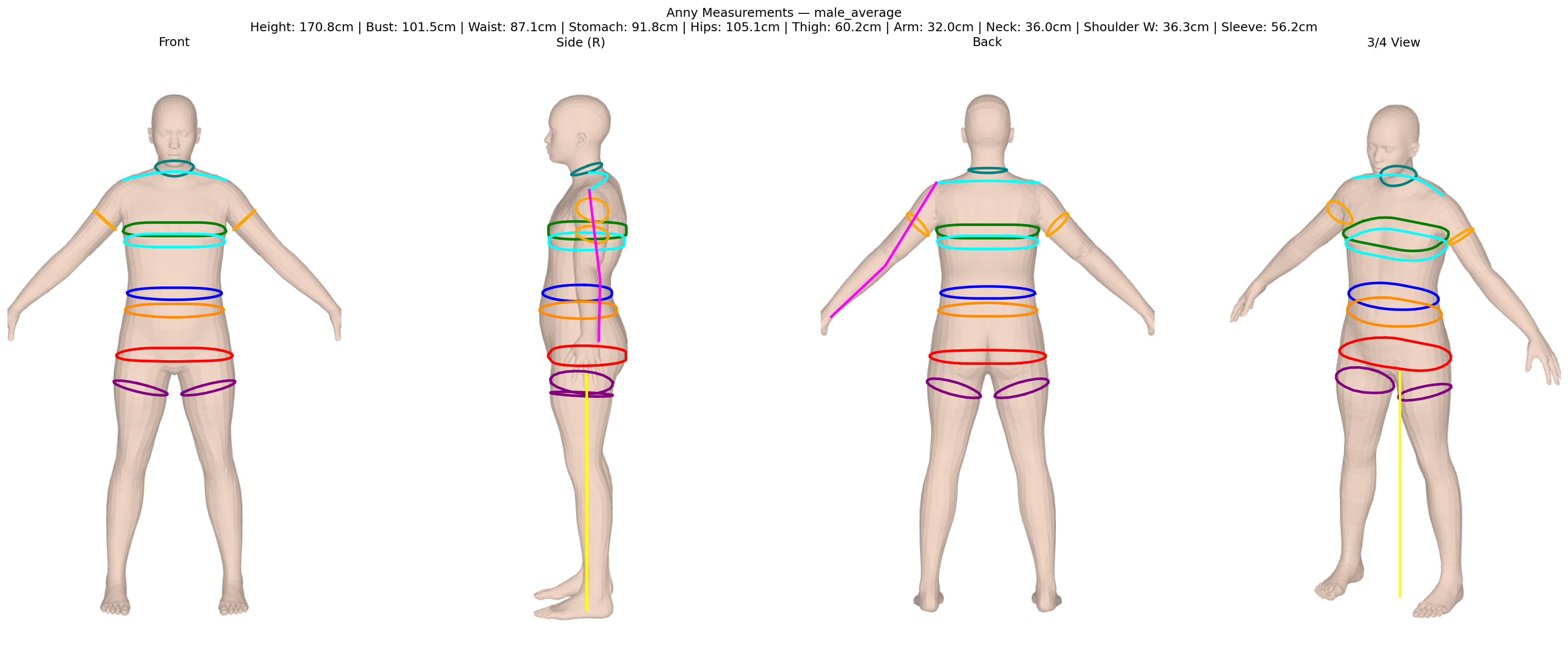 Anny body — male average, 4-view with ISO 8559-1 circumference measurements