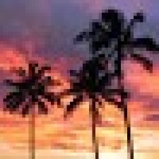 Avatar for Vincent Horvath from gravatar.com