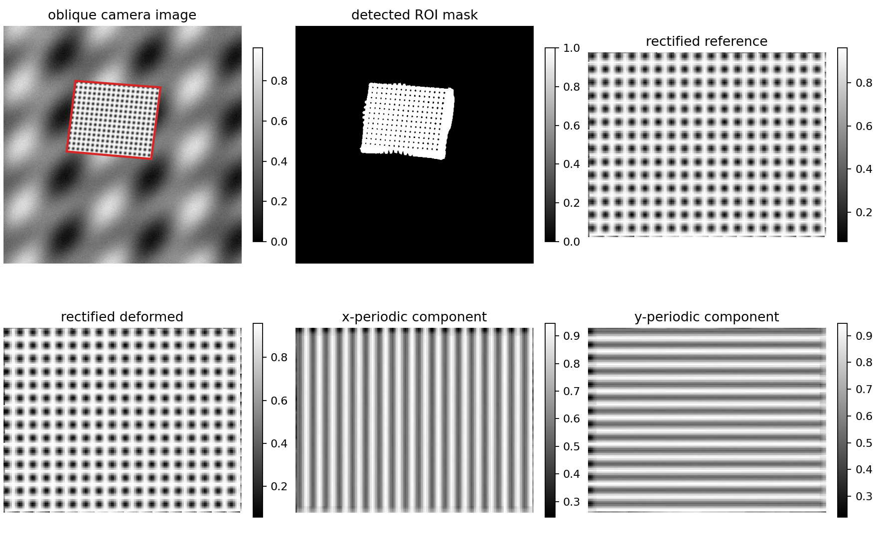 natural image grid strain analysis