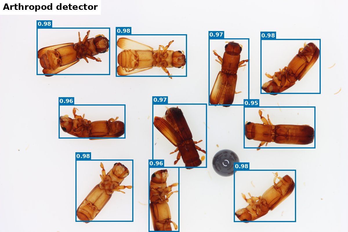 Arthropod detection