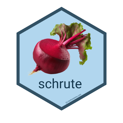 schrute R package