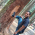Avatar for wolfram77 from gravatar.com