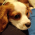 Avatar for iamdeedz from gravatar.com