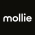 Avatar for MollieNL from gravatar.com