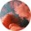 Avatar for Yigido from gravatar.com