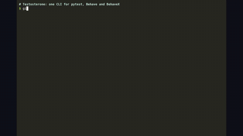 Terminal recording: installing from a checkout, testo doctor passing, then showing and running the fake-api cycle