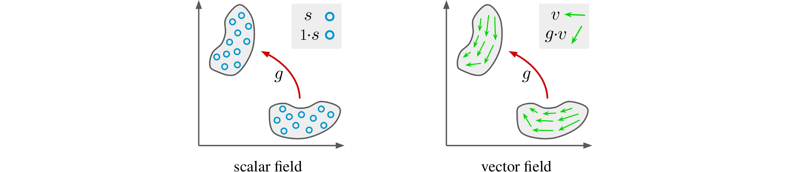 feature field examples