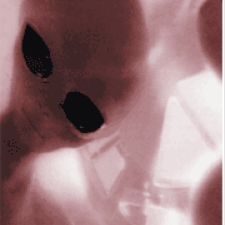 Avatar for Will from gravatar.com