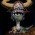 Avatar for slloyd from gravatar.com