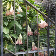 Avatar for zshipko from gravatar.com