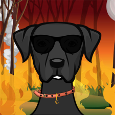 Avatar for Lucas from gravatar.com