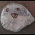 Avatar for ericpaverd from gravatar.com