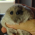 Avatar for BazZziliuS from gravatar.com