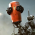 Avatar for jam_on_pypi from gravatar.com