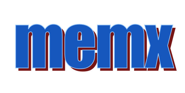 memx - memory layer